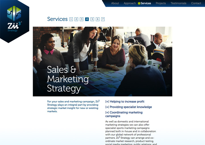 Zii3 Strategy web site design