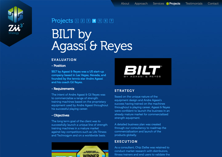 Zii3 Strategy web project design